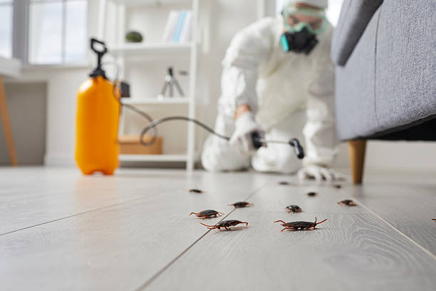 Commercial Kitchen Cockroach Control in Marietta